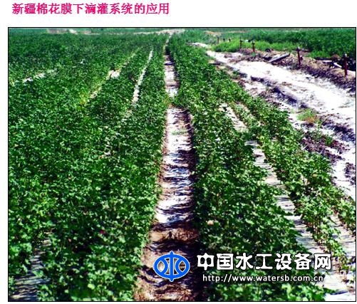 內(nèi)鑲式滴灌管